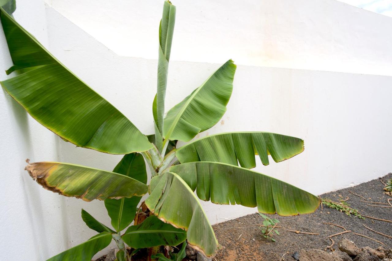 Villas Kalendra, Rofe, Lanzarote Guatiza Zewnętrze zdjęcie
